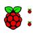 Picture of Raspberry Pi Logo Stickers - Small (10 Pack)